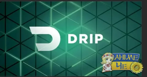 Чем крутое онлайн заведение Drip